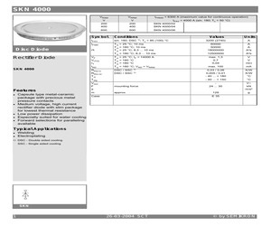 SKN4000.pdf